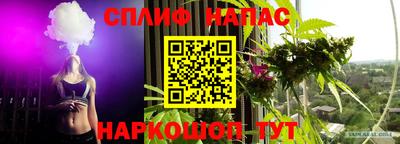 тгк Апшеронск